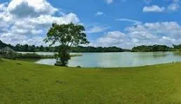 Trảng cỏ Bù Lạch